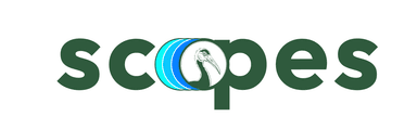Scopes Logo